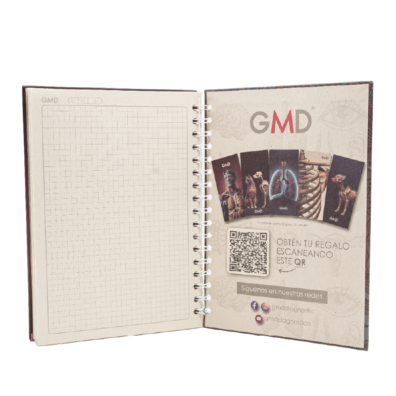 Cuaderno argollado gmd anatomía carmesí, abierto; lado izquierdo con hojas blancas cuadriculadas, lado derecho con pasta dura beige e ilustraciones anatómicas del cuerpo humano y de un perro, con código QR, redes sociales, y argollas blancas en el centro.. Haga clic para ampliar la imagen