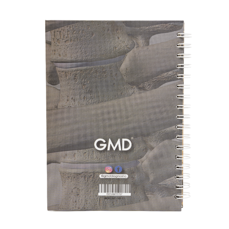 Cuaderno argollado gmd huesos humanos, vista posterior, con pasta dura en tonos claros e ilustración de discos vertebrales; incluye redes sociales, código de barras y argollas blancas al lado derecho.. Haga clic para ampliar la imagen