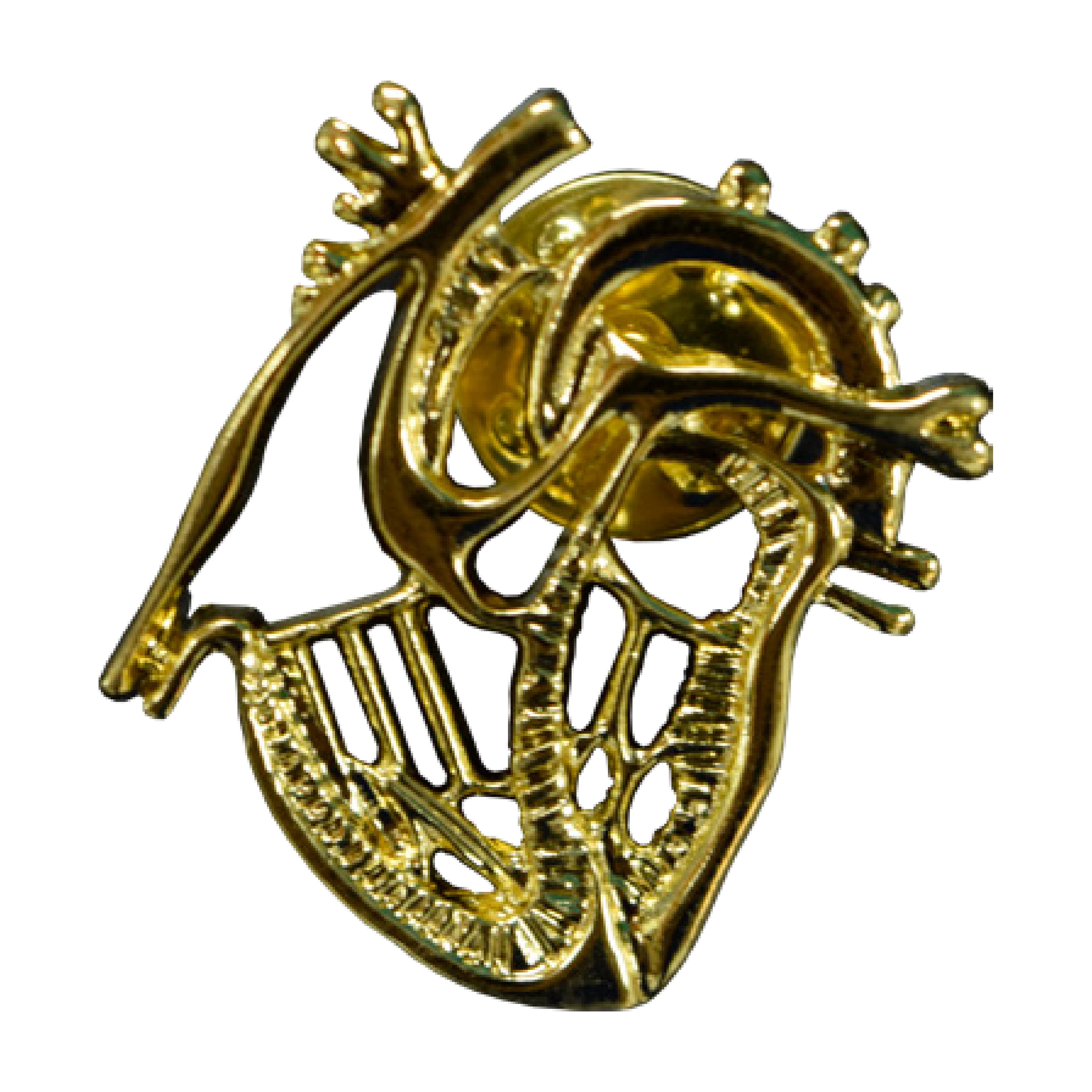 Pin gmd corazon dorado, con relieves anatomicos de venas y arterias; base lisa y brillante.. Haga clic para ampliar la imagen