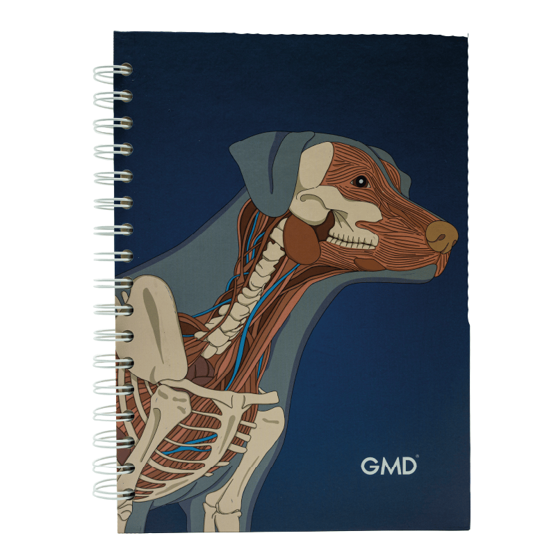 Cuaderno argollado gmd perro anatomía, con portada del sistema muscular y estructuras oseas de un perro sobre fondo azul odcuro y argollas blancas al lado izquierdo.. Haga clic para ampliar la imagen