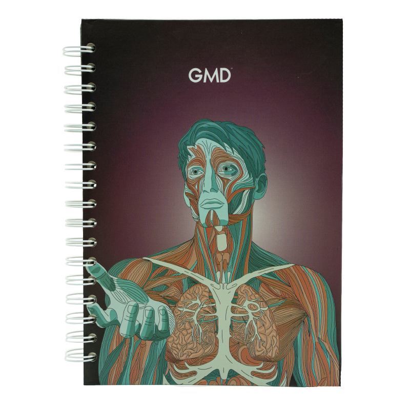 GMD-NB-12. Haga clic para ampliar la imagen