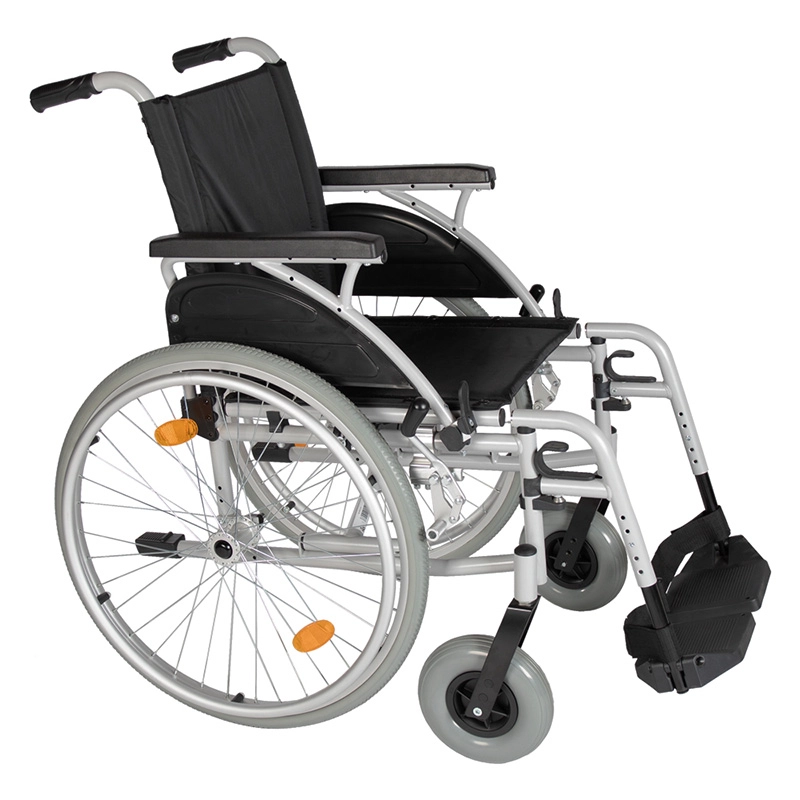 SRELS. Haga clic para ampliar la imagen