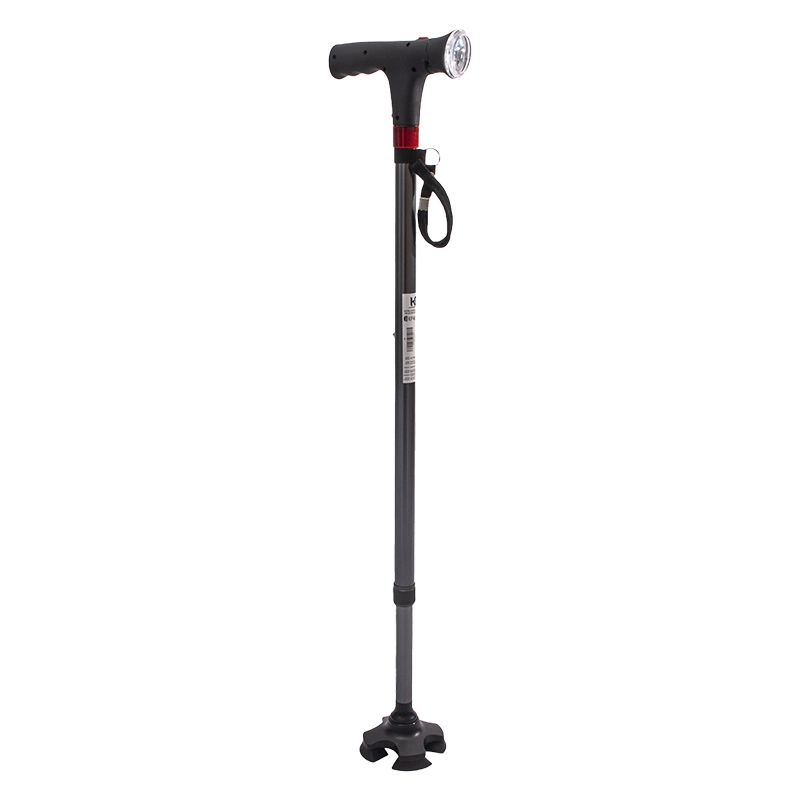 KP4819-21. Haga clic para ampliar la imagen