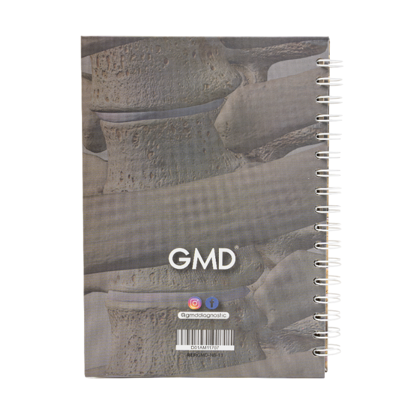 GMD-NB-13. Haga clic para ampliar la imagen