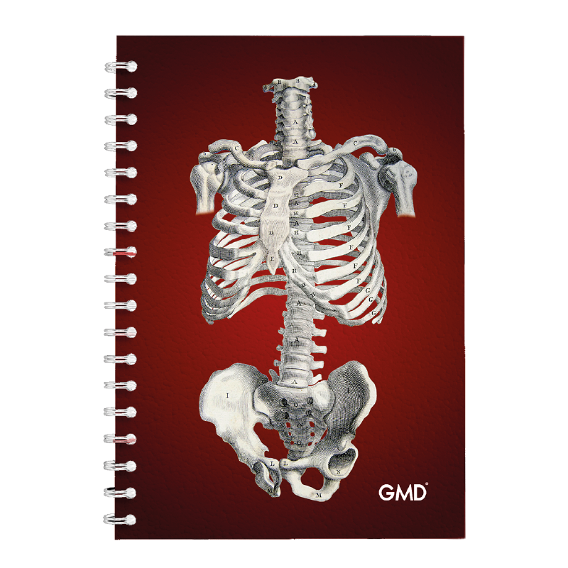 GMD-NB-06. Haga clic para ampliar la imagen