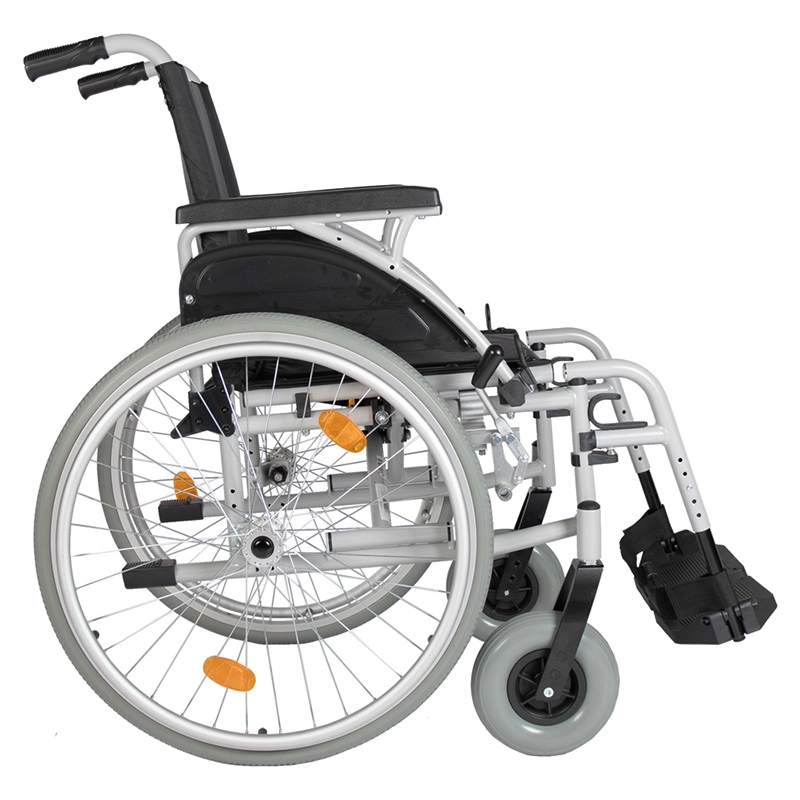 SRELS perfil. Haga clic para ampliar la imagen