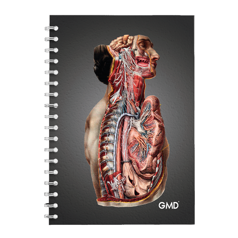 GMD-NB-07. Haga clic para ampliar la imagen