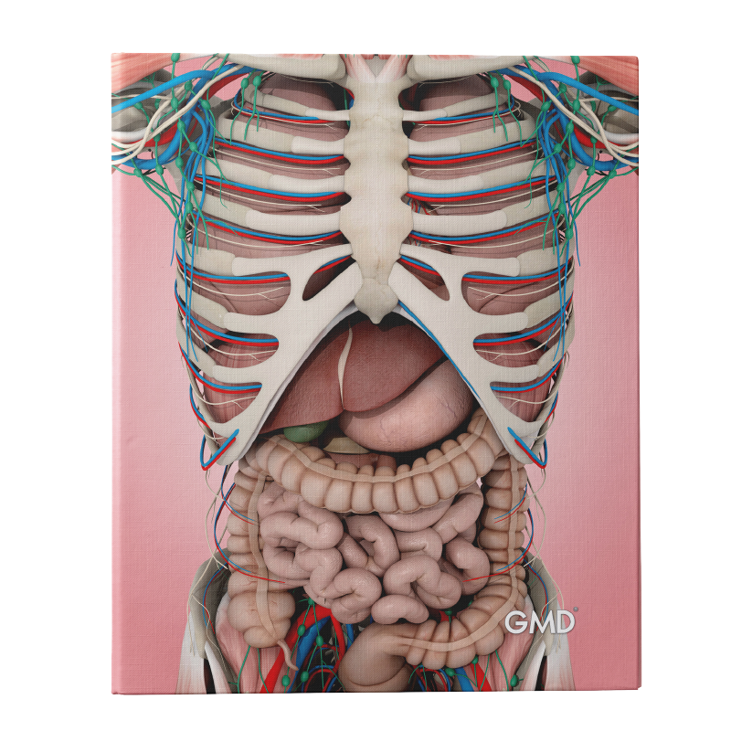 GMD-NB-11 detalle 1. Haga clic para ampliar la imagen