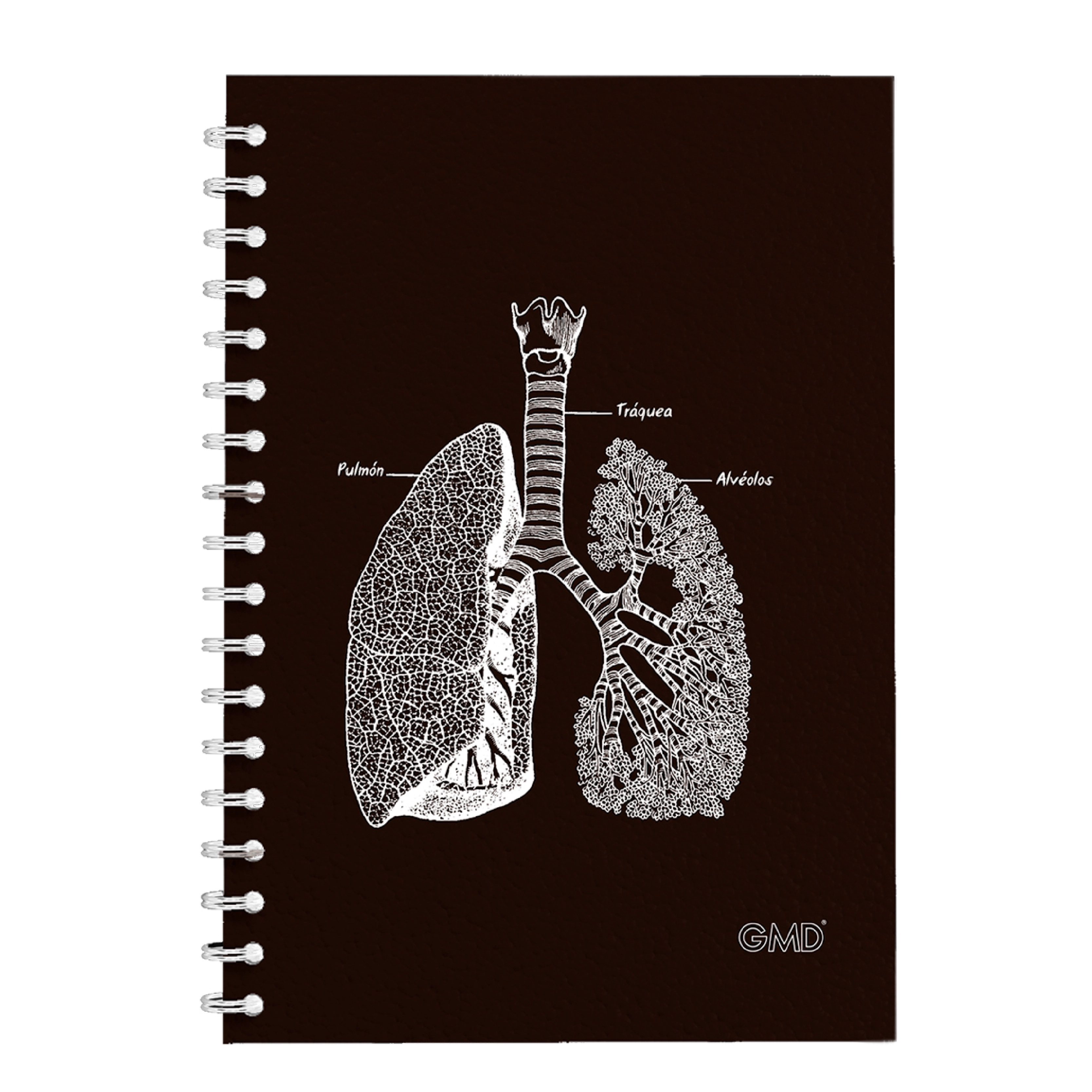 GMD-NB-08_2. Haga clic para ampliar la imagen